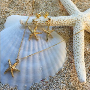 X^[tBbV qgf lbNX  sAX CO Zbg fB[X p nhCh ANZT[ nCA WG[