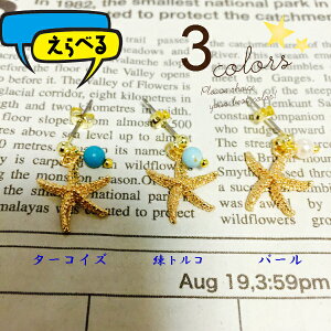 qgf X^[tBbV p[Xg[ ^[RCY gR p[  AM[Ή  CO fB[X p nhCh ANZT[   Mtg