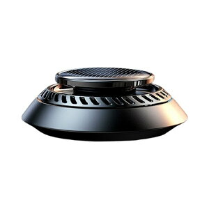 ԗpF J[pi \[[] GbZVIC2{t V[j[ F21 J[tOX