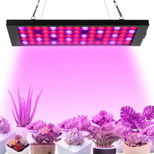 A琬Cg A琬pv ACg LEDACg s 40W 75pcs LEDdcCgW[V[ A ͔|Cg ƒp؃K[f ͔| v ƒ؉ 