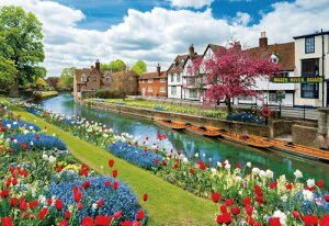 {ro[ 1000}CNs[X WO\[pY J^x[ ԍ炭i26×38j 1000M-018