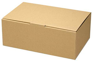 ヘイコー 箱 ダンボール ナチュラルボックス ECO・Z-6 19x30x11.5cm 10枚
