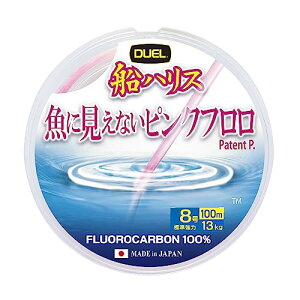 DUEL(fG) ɌȂsNt DnX 100m 8