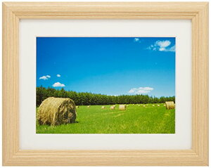 FUJICOLOR z YM-3 AN Lrl 2L ؐ x[W 22461