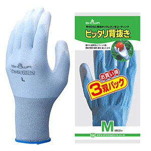 |E^R[eBO V[O[u(Showaglove) No.260sb^w MTCY u[ 3opbN
