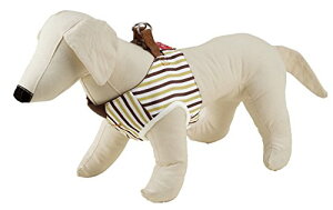 yeBI (Petio) gGWF xXgn[lX XgCv uE ^p SS TCY