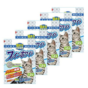 헤H IVbR̐F킩鎆L t@CzCg 12L×5 (P[X̔)