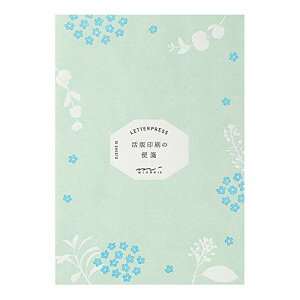 ~h   U炵ԕ 20559006
