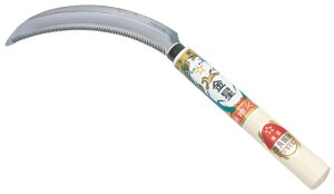 L{V(Kinboshi) ǋt S38cm 140406