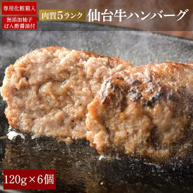 ハンバーグ 冷凍 お取り寄せ お肉 和牛 肉 ギフト 【6個】肉質5ランク 仙台牛 ハンバーグステーキ 120g×6個セット 「ゆずぽん酢醤油150g付き」 送料無料 ※沖縄は別途1200円送料が加算されます ソーシャルギフト対応可 和牛ハンバーグ