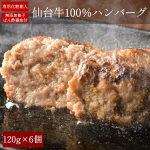 y6zA5 䋍100 no[OXe[L 120g×6Zbg uXIWi 䂸ۂ|ݖ150gtv Y v[g l ꕔn摗 ͕ʓr1200~ABElEn