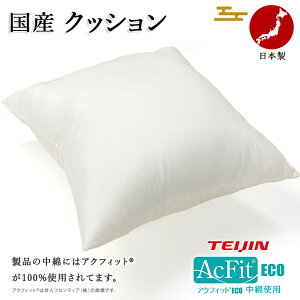 ���{�� �N�b�V���� 45×45cm �k�[�h�N�b�V���� ���� ��l �A�N�t�B�b�g �e�C�W�� �t�����e�B�A ���� �@�\�Ȏg�p �h�_�j �R�� �h�L ���Y �y1�����z �y1�z