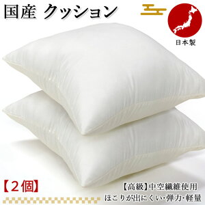 �y2�z���{�� �N�b�V���� 45×45cm �k�[�h�N�b�V���� ����� �V���R���� �􂦂� ������ ���� �R�� �h�L �h�J�r �􂦂� �h�_�j ���� �ې�OK ���Y �y2�����z
