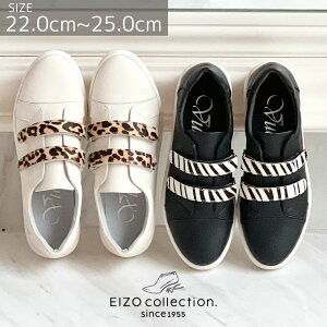 EIZO VUE GC][ r[ V[Y {v fB[X  Xj[J[ xg xN }WbNe[v  s W[ y y [Aj}RrU[Xj[J[ VO81510]st