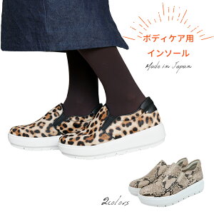 y{fBPApzberceau plus {fBPAC\[t fB[X Xb|Xj[J[ S2F BP41004A-body x\[vX Ă炾PAV[Y