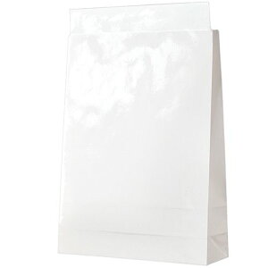 yzyl͂szy@liЁEƁjlzz܁@PPtBH@@@e[vt@1pbN(100)