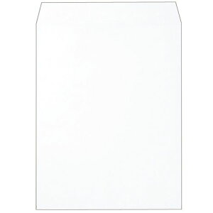 yzyl͂szy@liЁEƁjlzĐPg@p3@100g/m2@gȂ@zCg@ƖppbN@1(500)