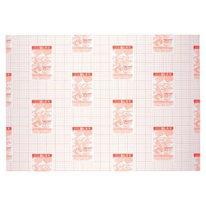 【送料無料】【個人宅届け不可】【法人(会社・企業)様限定】のり付パネル セキパネ 貼レルヤ B1 1080×760×5mm 1ケース(5枚)