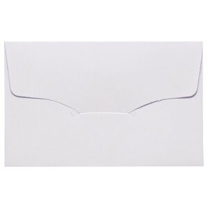 【送料無料】【個人宅届け不可】【法人(会社・企業)様限定】名刺型封筒 112×70mm 100g/m2 白 1セット(100枚:10枚×10パック)