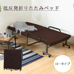 yԌP10{z܂肽݃xbh VO ᔽ E^ ܂ VOxbh LX^[t bV ^b`xbh uE 42iKNCjO lC