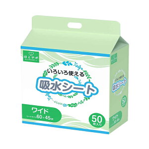 y}\P2{z zV[g4560 Ch 50 MISM JAPAN ĝ 퐶 pi