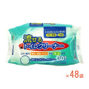 1P[X (30×48) GGgCN[i[ ꎆH (gCɗ V[g ܂Ƃߔ ) pi