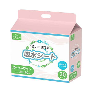 y}\P2{z zV[g6090 X[p[Ch 30 MISM JAPAN ĝ 퐶 pi