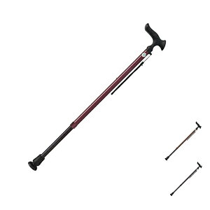 邪 E22 Lk WB5127 WB5128 WB5129 tWz[ (XebL   s⏕) pi