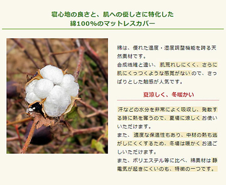 激安正規品 ハッピーそよかぜ専用カバー ハッピーおがわ Shipsctc Org