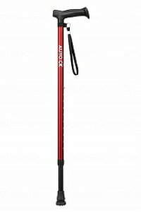 yubNtCf[P2{z    CKV[Y PCEzXsA   XebL  p Lk   ȏ pi j