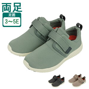 C V[Y fB[X    O O Y Xj[J[ jp SaiSaitbgJjNX WG150 }AkC pi ̓ ̓ hV̓ v[g 