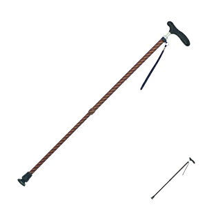 y}\P2{z XebL   LkaII@RۃObv CMS-12 (XebL  ) pi