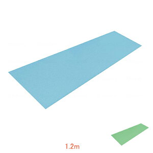 y}\P2{z~߃}bg _CO}bg 50cm×1.2m@SL1.2 VGCeNm (pi {ݗp v[ ׂ~߃}bg) pi