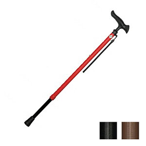 y}\P2{z邪t@II Lk WB5234 WB5235 WB5236 tWz[ (s⏕  ׎) pi