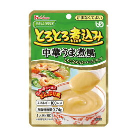 介護食 区分4 かまなくてよい おかず やさしくラクケア とろとろ煮込み 中華うま煮風 80g ハウスギャバン 介護食品 レトルト 栄養補助 なめらか食 ミキサー食 手軽 嚥下食 介護用品