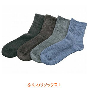 yX[p[SALEP2{zpi C ӂ\bNX L pVtBbNTvC ( C) pi