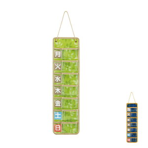 スリムお薬ポケット1週間 JDP2 スケーター (薬 飲み忘れ 防止 収納) 介護用品