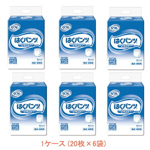 (1P[X) Ɩp t ͂pc M[ M@1659317426@1P[X (20×6) uhDR[|[V ( ނ pc) pi