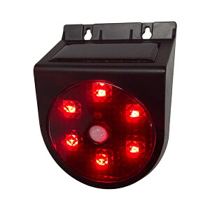 \[[pgsJ SLR90 iJoV[xbNX ֗pi 퐶 hƑ΍ ZT[  pi