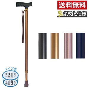 y}\P2{z XebL  yMtg{bNXdlzCtXebL Lk^ x[VbN^Cv 9712 EFt@ (Mtg 蕨 XebL  ) pi