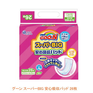 O[ X[p[BIG Szpbh 753860 26 剤 (ނ APA  pbh) pi