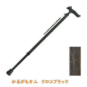 y}\P2{z XebL  邪I  IWiJ[ NRubN tWz[ (XebL   jp) pi