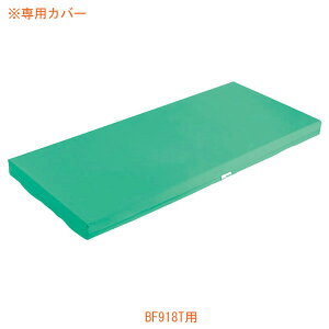 isjfB}bg ×ptTCYpJo[ BF918Tp ebN pi