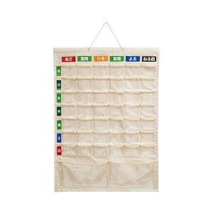 J_[ ǂ^Cv LL@IF-3013 iJoV (16 1Tԕ  ֗pi) pi