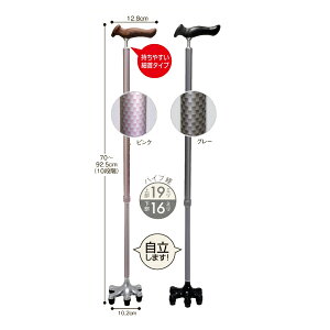  XebL  (sjAVXg_ AJ032 AJ033 AVXgDJP pi