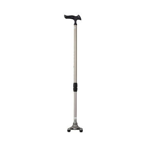 �y10/1����P5�{�z�� �X�e�b�L ������� ���邪�� 4�|�C���g�X�e�b�L WB3826 �X�e���J���[ �t�W�z�[�� (4�_�� �� �� ���s�⏕) ���p�i