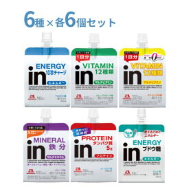 inゼリー 6種×6個 セット お試し 森永製菓 熱中症対策 ゼリー 介護食 食欲不振 高齢者 栄養補助食品 プレゼント ギフト 水分補給