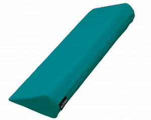 P[v tBbgT|[g800^Cv CK-397 pi