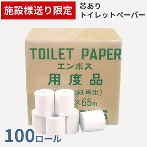 ({ݗl) (1P[X) 100[ c gCbgy[p[ G{X 114m×65m VO (i{[^Cv) ѐ {ݗpi pi (s)