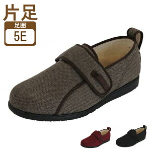 y12/1P5{zV[Y V݂ z^Cv Б̔ jp 47351109 pVtBbNTvC pi